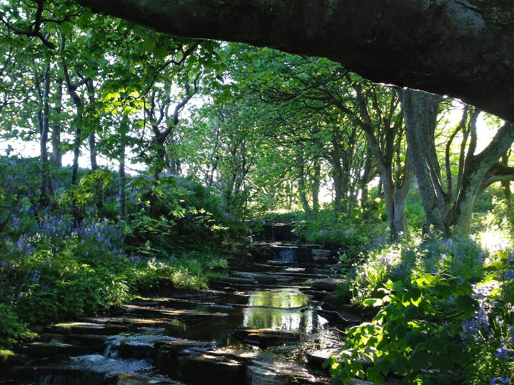 Woodwick House Bed and Breakfast Orkney Esterno foto