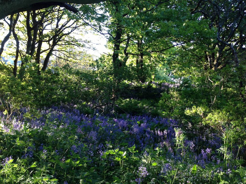 Woodwick House Bed and Breakfast Orkney Esterno foto