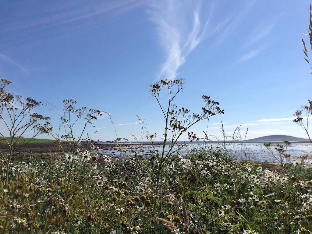 Woodwick House Bed and Breakfast Orkney Esterno foto